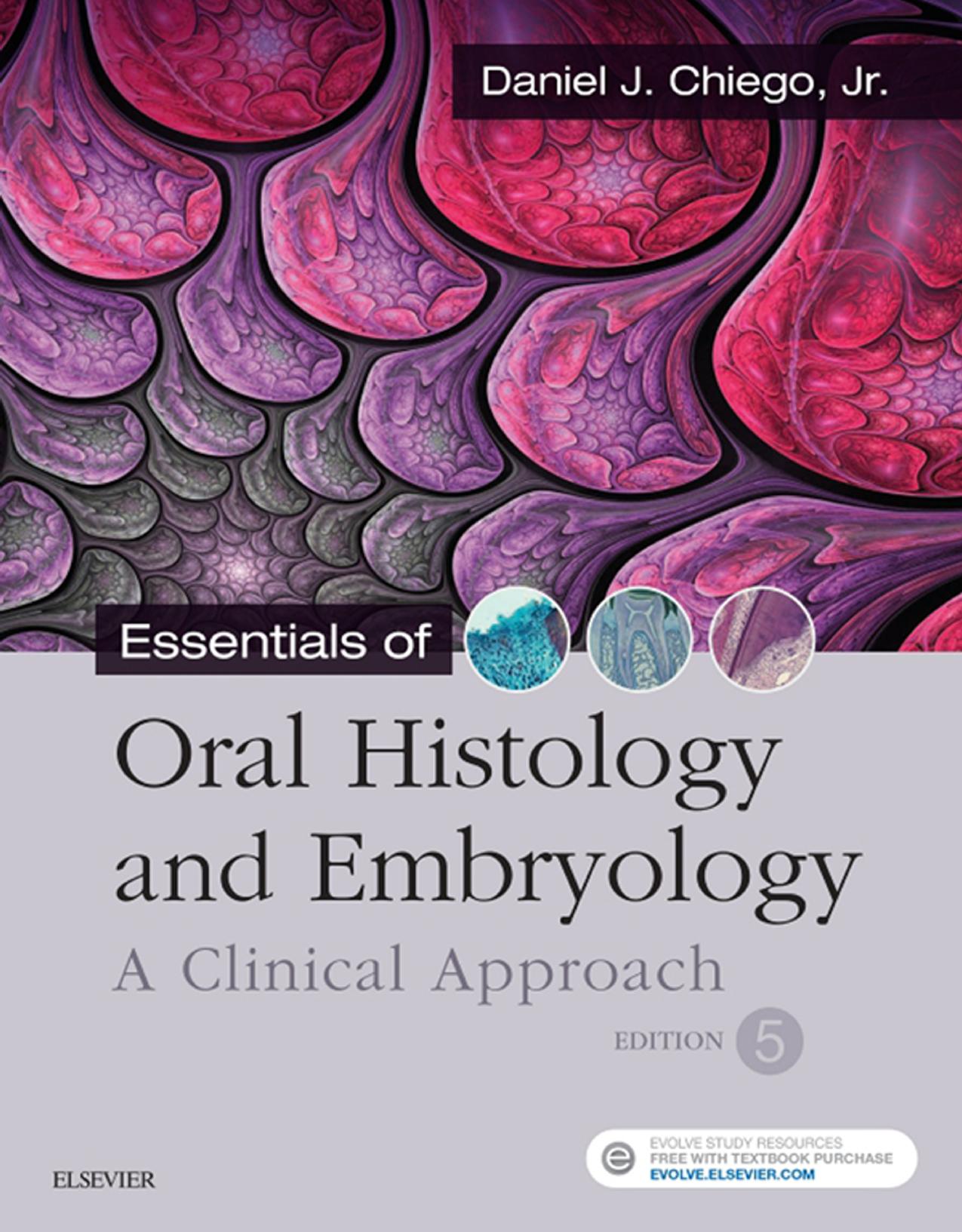 Essentials Of Oral Histology And Embryology A Clinical Approach Th