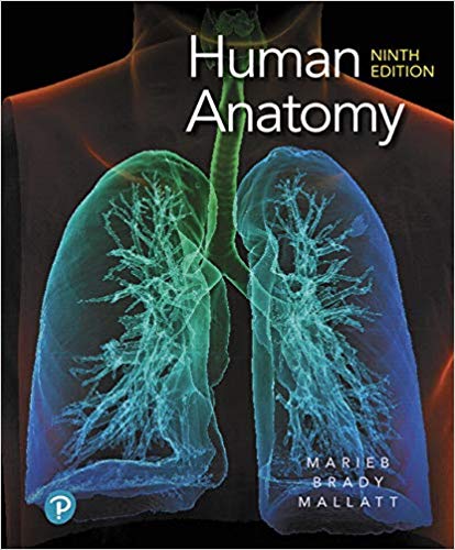 Human Anatomy, 9th Edition  by Elaine N. Marieb , Patricia M. Brady , Jon B. Mallatt 