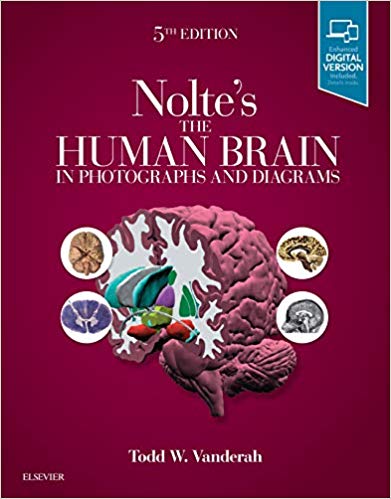 Nolte's The Human Brain in Photographs and Diagrams 5th Edition by Todd Vanderah PhD 
