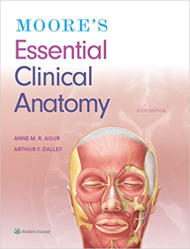 Moores Essential Clinical Anatomy Sixth Edition by Anne M. R. Agur , II Arthur F. Dalley 