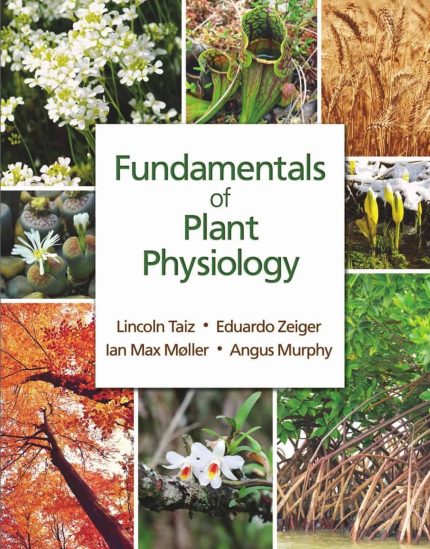 Fundamentals of Plant Physiology