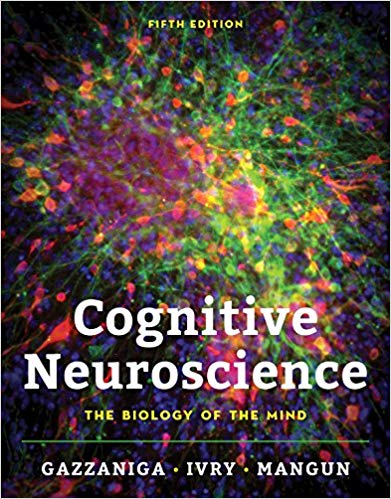 Cognitive Neuroscience The Biology of the Mind 5th Edition by Michael Gazzaniga , Richard B. Ivry , George R. Mangun Ph.D. 