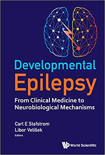 Developmental Epilepsy From Clinical Medicine to Neurobiological Mechanisms by Carl E Stafstrom , Libor Velíšek 