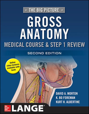 The Big Picture: Gross Anatomy, Medical Course and Step 1 Review, Second Edition by David A. Morton, K. Bo Foreman, Kurt H. Albertine