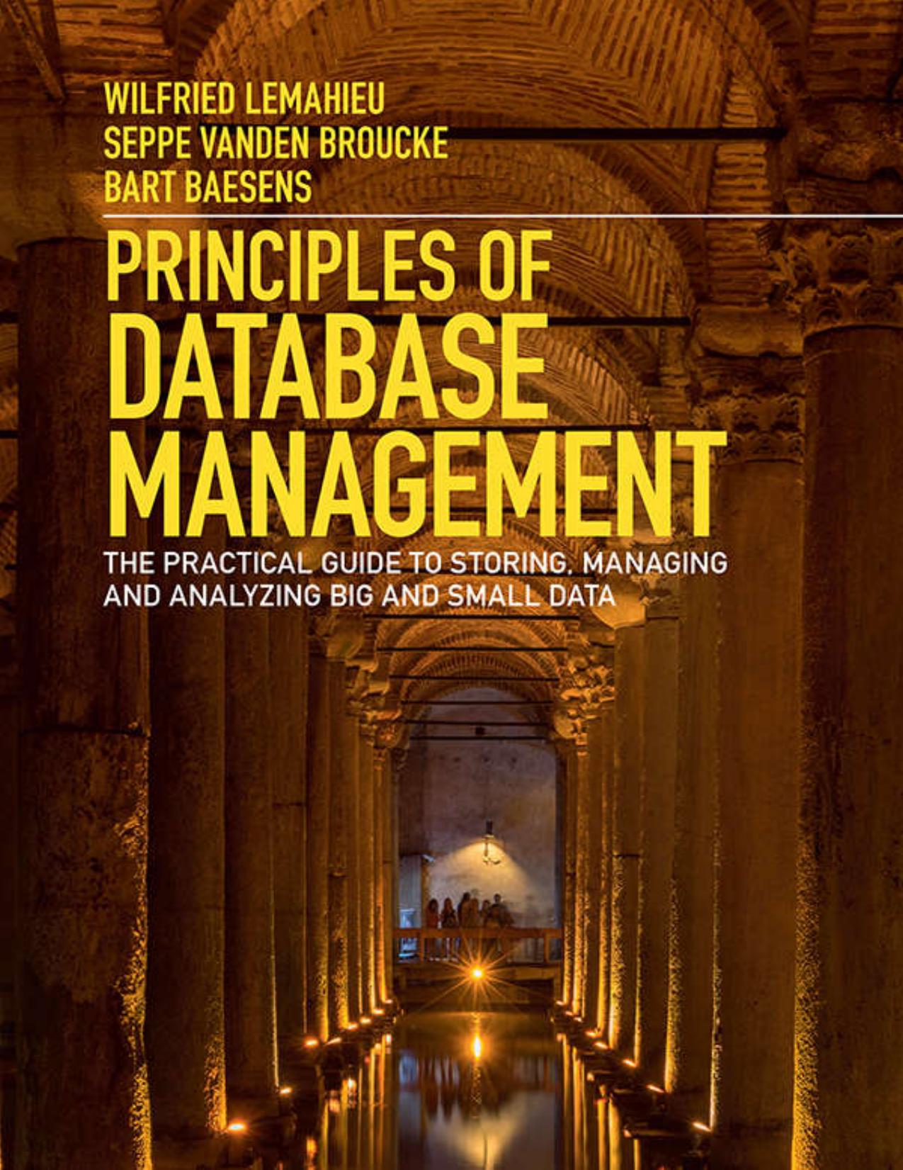 Principles of Database Management: The Practical Guide to Storing, Managing and Analyzing Big and Small Data 1st Editiona - by  Wilfried Lemahieu , Seppe vanden Broucke , Bart Baesens
