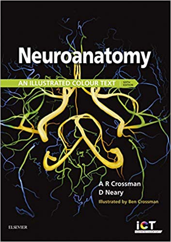 Neuroanatomy E-Book (Illustrated Colour Text) 6th Edition by Alan R. Crossman , David Neary 