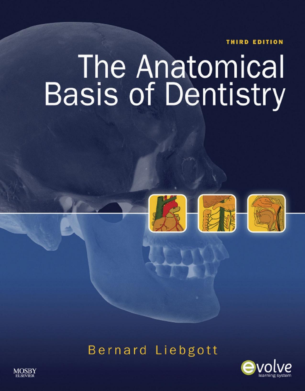 Anatomical Basis Of Dentistry 3rd Edition By Bernard Liebgott ...