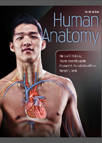  Human Anatomy 4th Edition