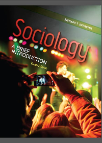  Sociology: A Brief Introduction 10th Edition