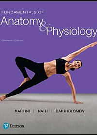 Test Bank for Fundamentals of Anatomy and Physiology 11th Edition by Frederic H. Martini, Judi L. Nath