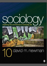  Sociology: Exploring the Architecture of Everyday Life Tenth Edition