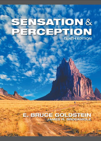 Test Bank for  Sensation and Perception 10th Edition by E. Bruce Goldstein