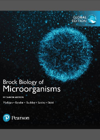 Test Bank for  Brock Biology of Microorganisms 15th Global Edition by Michael T. Madigan