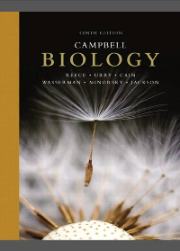 Test Bank for Campbell Biology 10th Edition