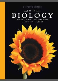 Test Bank for Campbell Biology 11th Edition by Lisa A. Urry