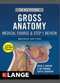 The Big Picture: Gross Anatomy, Medical Course & Step 1 Review 2nd Edition by David A. Morton, K. Bo Foreman, Kurt H. Albertine