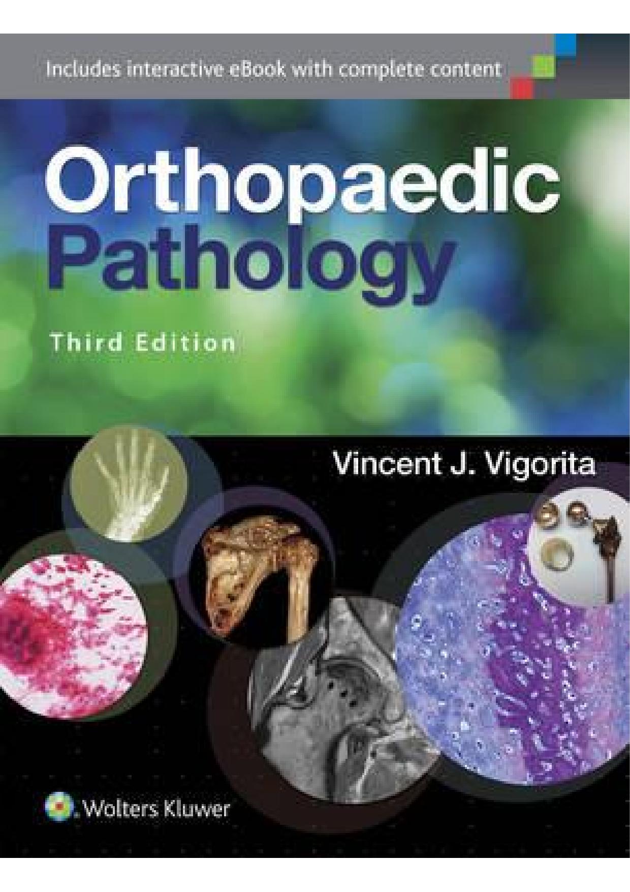 Orthopaedic Pathology 3rd Third Edition by Vincent J. Vigorita