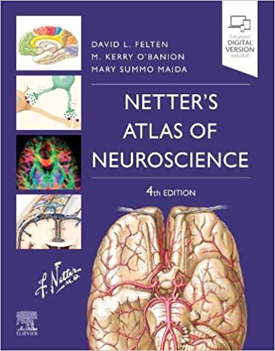 Netter s Atlas of Neuroscience E-Book 4th Edition PDF+EPUB by David L. Felten MD PhD , Michael K O'Banion M.D. Ph.D. , Mary E Maida Ph.D. 