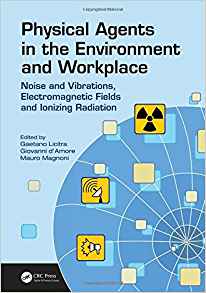 Physical Agents in the Environment and Workplace by Gaetano Licitra , Giovanni d'Amore , Mauro Magnoni 