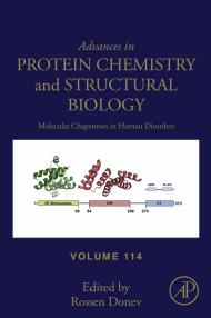 Molecular Chaperones in Human Disorders by Rossen Donev 