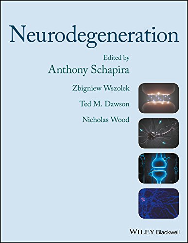 Neurodegeneration 