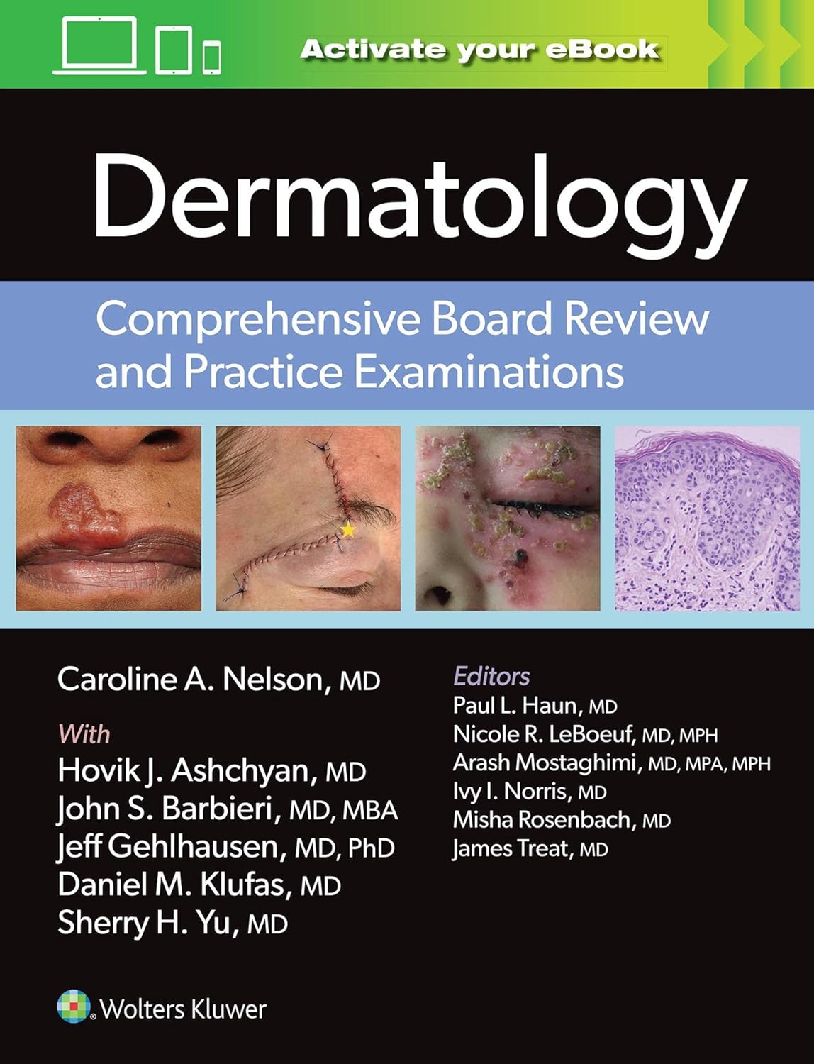 dermatology illustrated study guide and comprehensive board review free download
