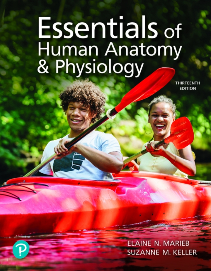 Essentials Of Human Anatomy And Physiology, 13th Edition - Ebook345-Store