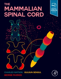The Mammalian Spinal Cord 