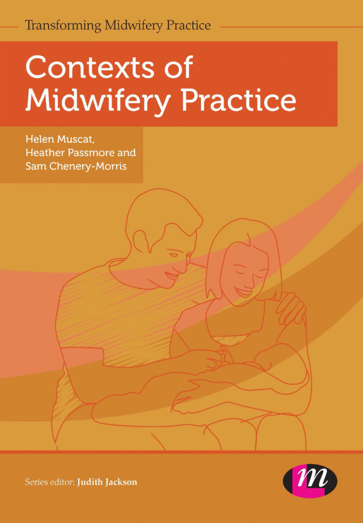 Contexts of Midwifery Practice (Transforming Midwifery Practice Series) 