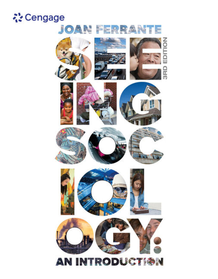 Seeing Sociology:An Introduction 3rd Edition by Joan Ferrante