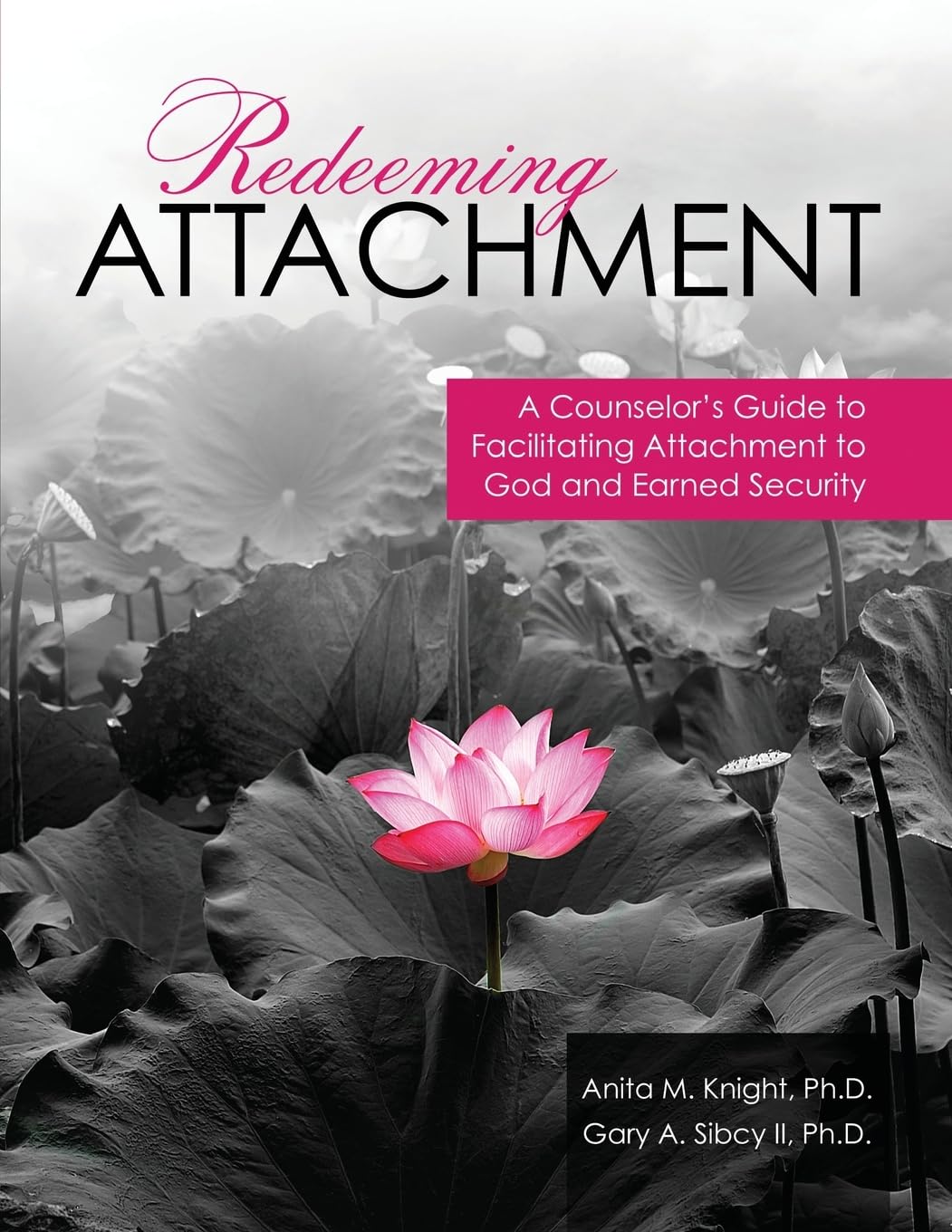 Redeeming Attachment: A Counselor s Guide to Facilitating Attachment to God and Earned Security by Anita M. Knight Kuhnley